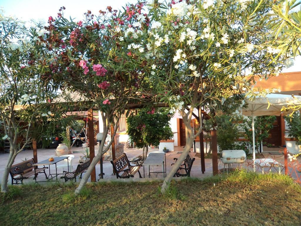 Daydream Hill Hotel Stavros  Ngoại thất bức ảnh